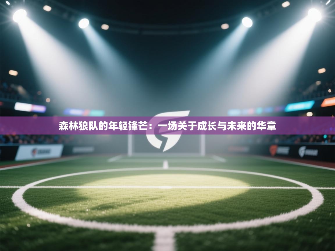 森林狼队的年轻锋芒：一场关于成长与未来的华章  第1张